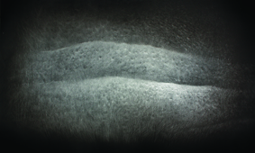 ,,Zbliżenie III, węgiel, 60 x 100cm, 2014''