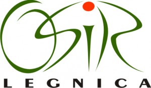 logo_nowe
