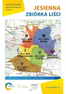 ZBIORKA_LISCI_PLAKAT_2018_2-1