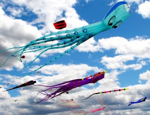 kites-779957_960_720