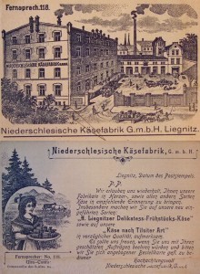 Karta korespondencyjno-reklamowa Dolnośląskiej Fabryki Sera z 1907 roku, strona 1