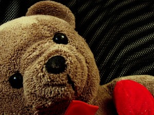 teddy-bear-1216609_1280
