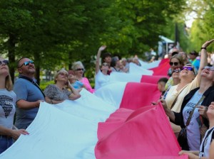 img_9239,mVqUwmKfa1OE6tCTiHtf