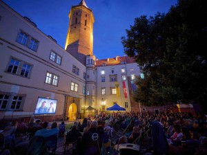 Kino na Zamku 2025_fot. Karol Budrewicz