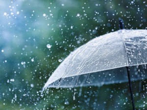istockphoto-1257951336-612x612