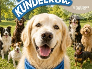 parada_kundelkow_poster,mVqUwmKfa1OE6tCTiHtf